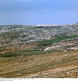 Israel: Jerusalem Ost