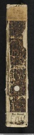 Formelbuch, lat. u. dt. - Mscr.Dresd.F.172.b : Formelbuch. (Zur baierschen Geschichte.)