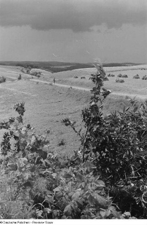 Landschaft