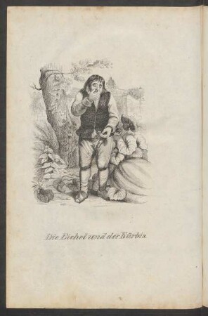 Die Eichel und der Kürbis.