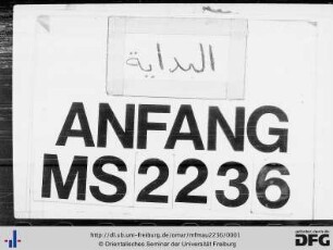 MF Mau 2236
