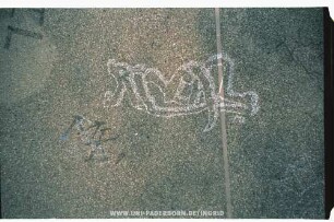 RiVAL