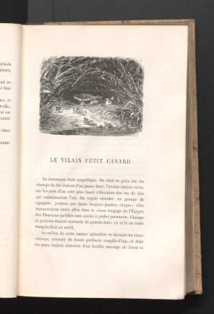 Le Vilain Petit Canard
