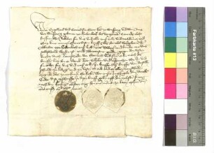 Engelhard und Conrad, Herren von Weinsberg und Anna von Weinsberg, geb. von Hohenlohe an Graf Albrecht von Hohenlohe: Schuld gegen Dieter Landschad von Steinach; Siegel: Herren von Weinsberg und Anna von Weinsberg.