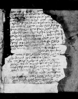 [Fragmenten-Handschrift in 6 Teilen] : SUB Hamburg Cod. Levy 134