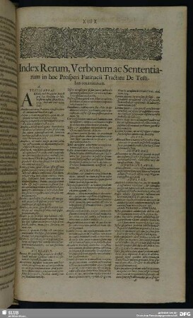 Index Rerum, Verborum ac Sententiarum in hoc Prosperi Farinacii Tractatu De Testibus contentarum