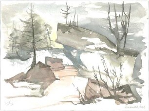 Gsaenger, Gustav; Berchtesgadener Land (Bayern); Zauberwald - Studie