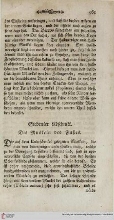 Sechster Abschnitt: Die Muskeln des Unterschenkels