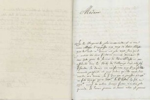 Johann Georg Wille an Karoline Luise von Baden (Paris)