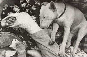 Der Grafikdesigner, Fotograf und Art Director Alexey Brodovitch mit seinem Hund