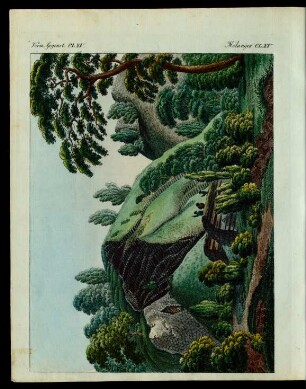 Der Säulen-Basalt der Kitzkammer am Meissner.