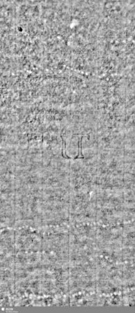 Lilie / Tj = S.1/2+9/10