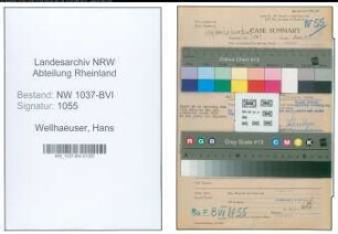 Entnazifizierung Hans Wellhaeuser , geb. 20.07.1902 (Kaufmann)