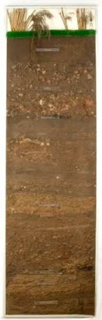 Stratigraphische Abfolge in Schwarzenacker II