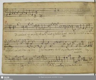 Pinello de Gherardi, Giovanni Battista: Domine quid multiplicati sunt