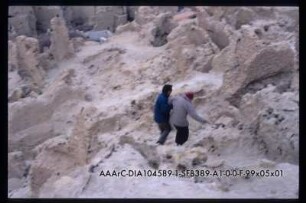 Palaeo-Monsun Tagung, Siwa Shali