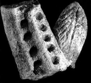 Fragment eines Tieres (?)