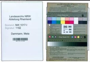 Entnazifizierung Meta Dammann , geb. 10.07.1890 (Verwaltungsangestellte)
