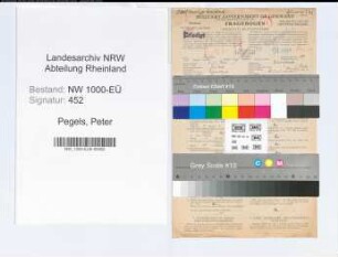 Entnazifizierung Peter Pegels, geb. 06.08.1904 (Steuerinspektor)
