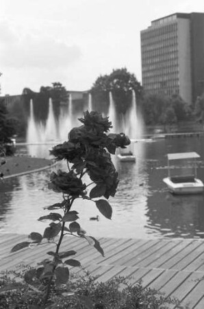 Spätsommertag im Stadtgarten