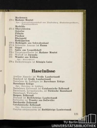 Haselnüsse
