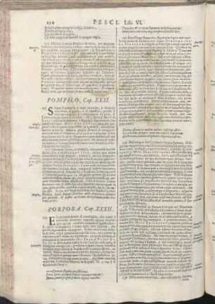 Pompilo. Cap. XXXI. [Porpora. Cap. XXXII., Rana. Cap. XXXIII., Remora. Cap. XXXIV., Riccio Marino. Cap. XXXV.]