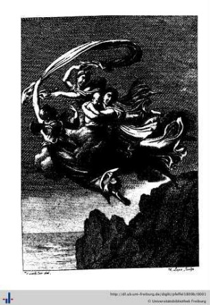 1809: Taschenbuch für Damen