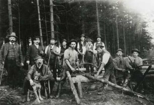 Sächsisch-Böhmische Schweiz. Walarbeiter in einem böhmischen Revier beim Sägen von Stangenholz. Sebnitz: Heimatmuseum Z 132:1/367