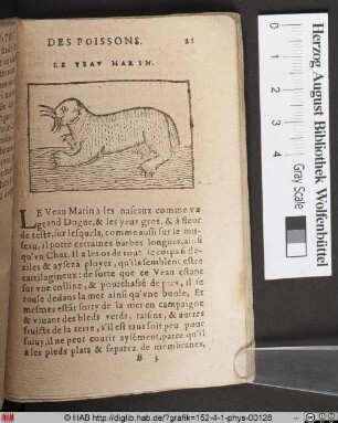 Le Veau Marin.
