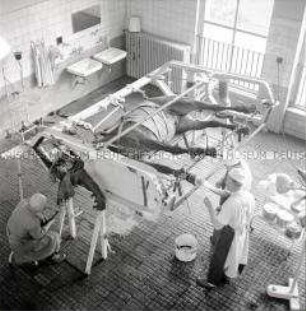 Pferd in Operationshalterung in der Bezirkstierklinik Rostock