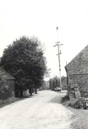 Maibaum in Rohne : Gesellschaftliche Volkskultur - Frühling. Ort: Rowno / Rohne. Maibaum