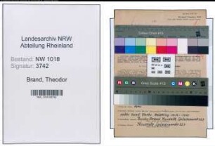 Entnazifizierung Theodor Brand , geb. 21.03.1889 (Haendler)