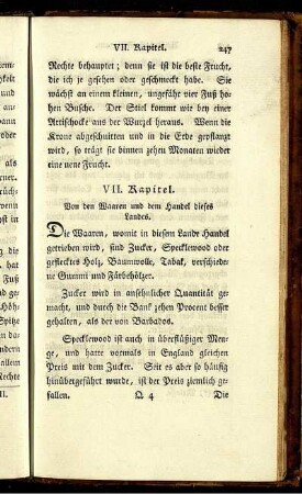 VII. Kapitel.