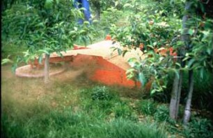 Fotografie: Obstbau, Pflegegerät, Mulchgerät