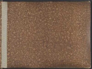 Fotoalbum aus dem Nachlass von Will Heraucourt : Fotoalbum aus dem Nachlass von Will Heraucourt. Kartoneinband, geprägt; 30,5 x 40 x 3 cm (1917/1919). Dresden: SLUB/DF 2017.E.1216