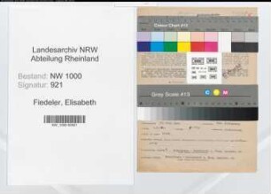Entnazifizierung Elisabeth Fiedeler, geb. 15.07.1894 (Postbeamtin)