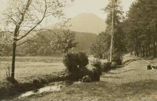 Elbsandsteingebirge. Rosenberg, vom Paulinengrund gesehen