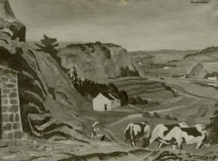 Elbtal bei Dresden