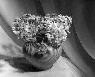 Blumen und Blüten in diversen Vasen. Margeritenstrauß? in einer Keramikvase