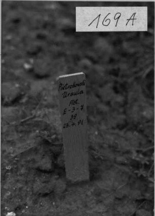 Grabstein 169 A (Detailaufnahme)