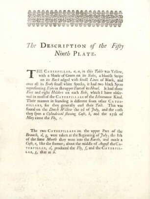 The Description of the Fifty Ninth Plate