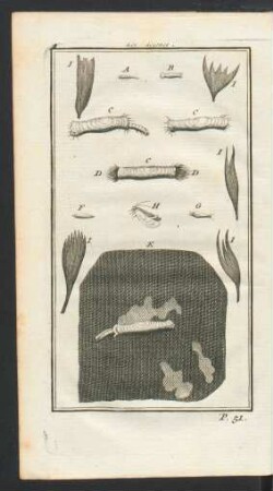 Tafel: Les Lewnes.