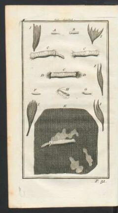Tafel: Les Lewnes.