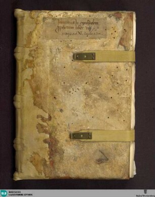 Hieronymi in Ezechielem libri VII-XI - Cod. Aug. perg. 201