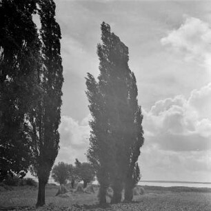 Sommerlandschaft