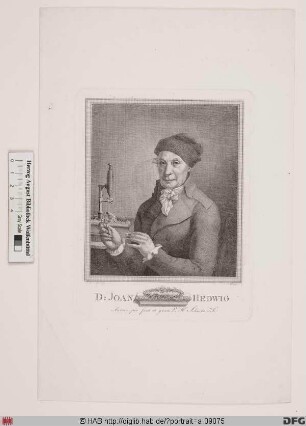 Bildnis Johann Hedwig