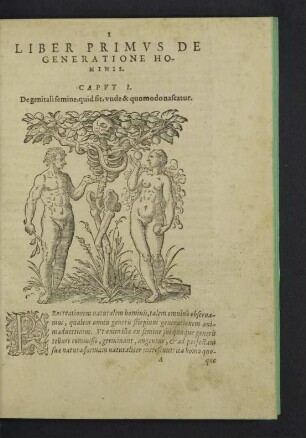 Liber primus de generatione hominis.