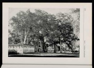 170-185, Tafeln: Fotografische Reiseansichten Südindien