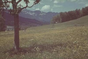 Deutschland. Oberbayern (vielleicht Werdenfelser Land)