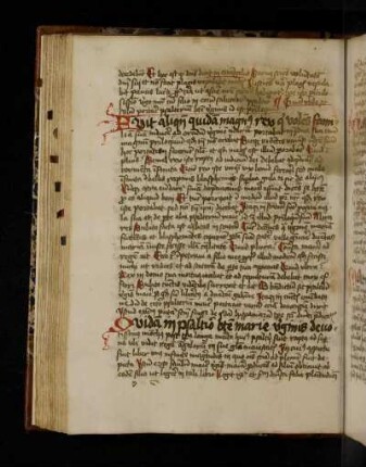Quam utile sit solum portare psalterium beate virginis idest patriloquium.